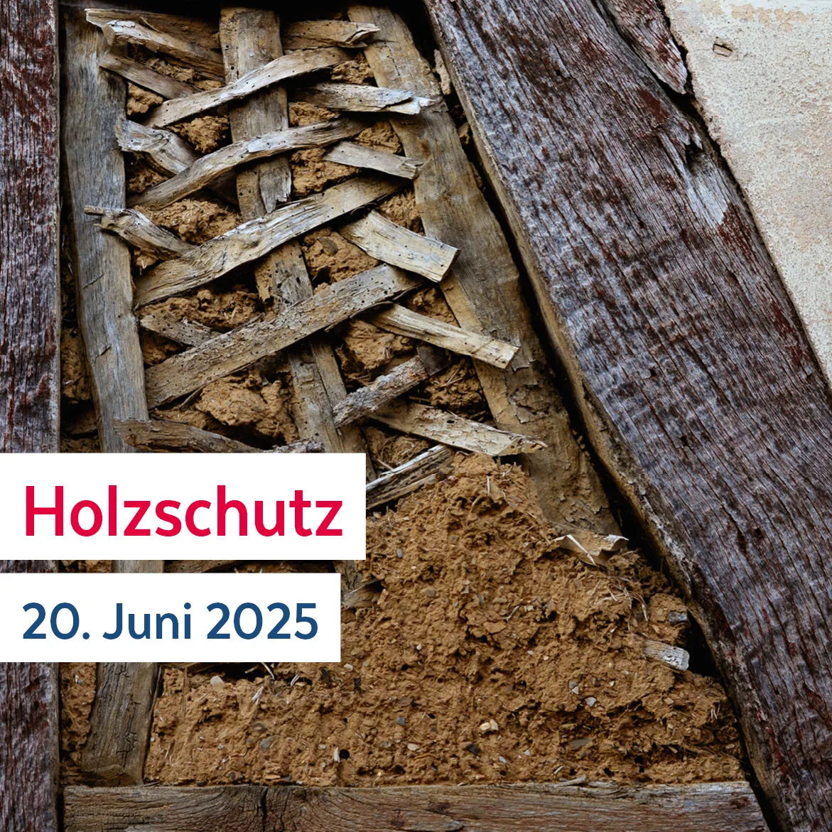 EIPOS Sachverständigentag Holzschutz - 20. Juni 2025