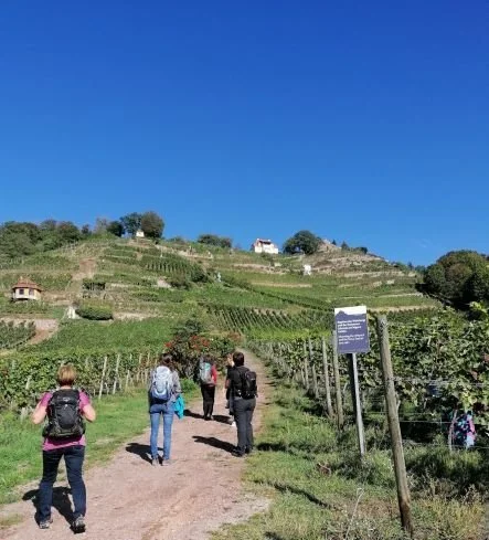 EIPOS-Wandertag