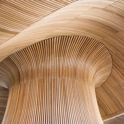 Seminar: OP aus Holz