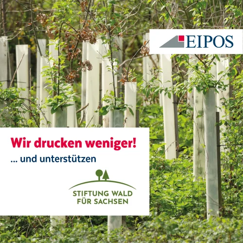 Wir drucken weniger und unterstützen "Stiftung Wald für Sachsen"