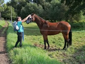 EIPOS Wandertag von Keischa nach Maxen (Pferd am Wegesrand)