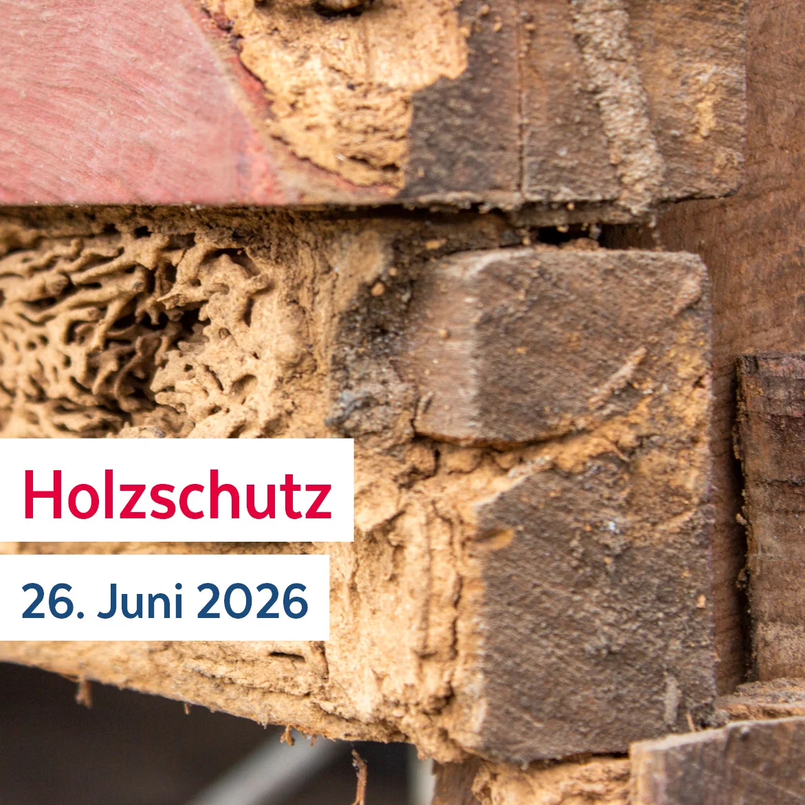 EIPOS Sachverständigentag Holzschutz - 26. Juni 2026